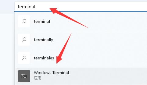 Windows11出现提示找不到wt.exe解决方法插图4