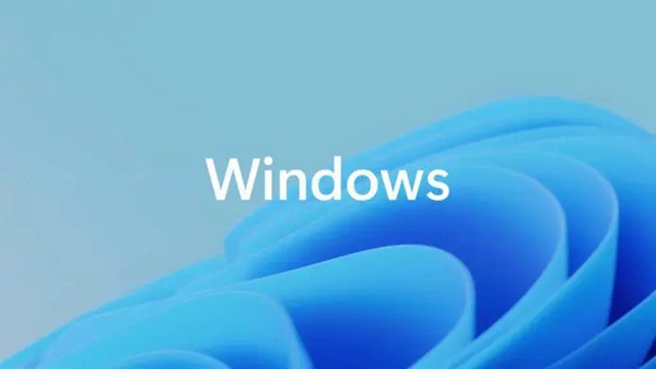 Win11系统网络连接里面一片空白怎么办插图