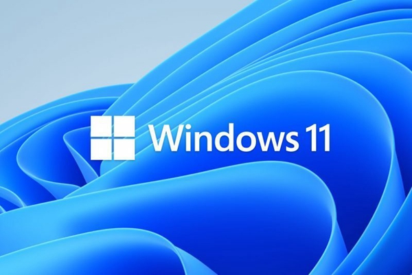 Win11系统网络连接里面一片空白怎么办插图1