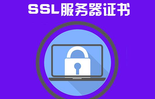 Win11客户端和服务器不支持常用的ssl协议版本怎么办插图