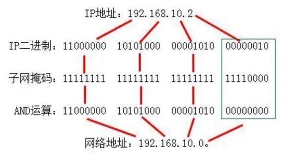 子网掩码是什么插图