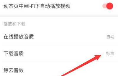 网易云音乐怎样下载mp3格式？网易云音乐下载mp3格式教程