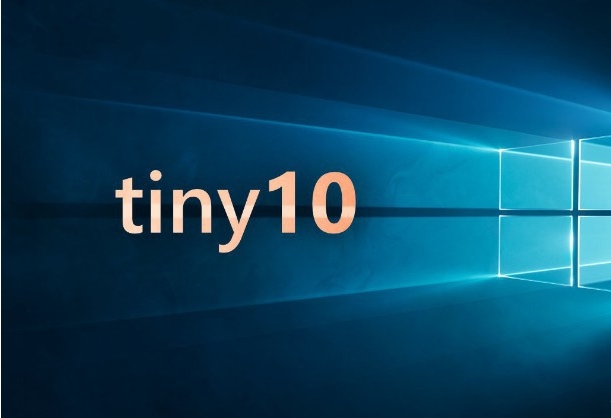 tiny10 22h2 beta2下载 win10 tiny22H2精简32位镜像网盘下载插图