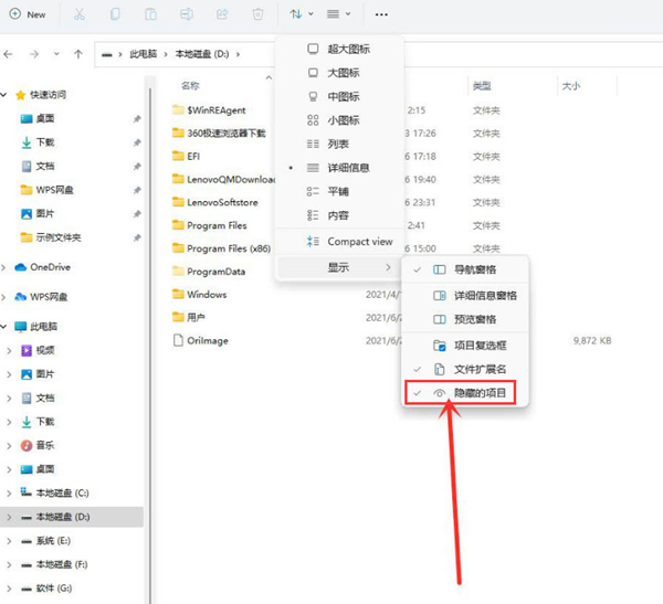 win11怎么显示隐藏项目？win11查看隐藏项目设置方法