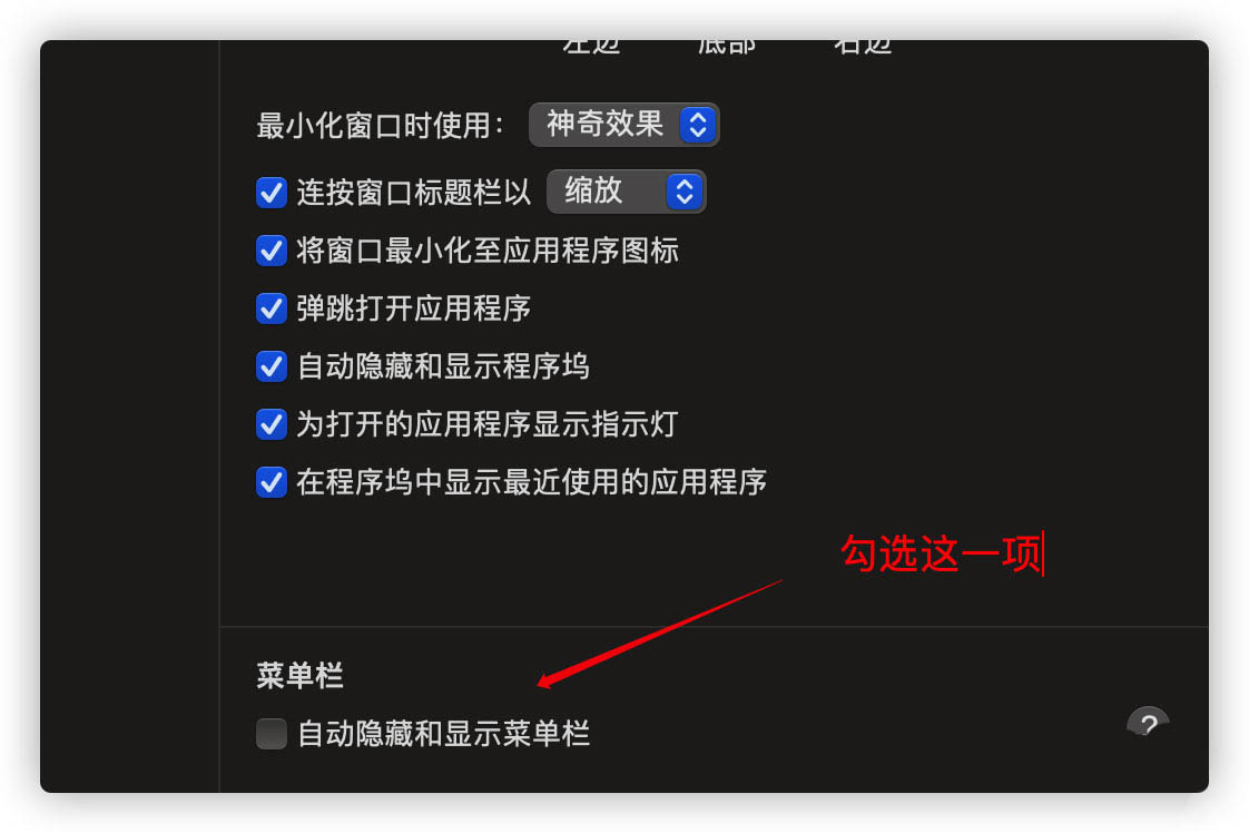 Mac OS Big Sur菜单栏怎么隐藏插图6