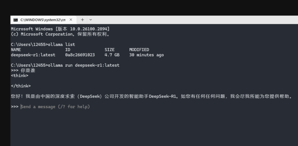 deepseek-r1本地部署 deepseek部署的详细步骤和方法插图8