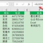 excel中xlookup函数怎么使用