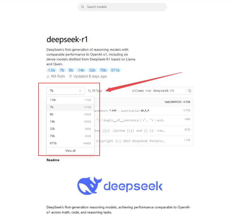 deepseek-r1本地部署 deepseek部署的详细步骤和方法插图6