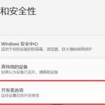 win11开发者模式怎么开 win11开启开发者选项