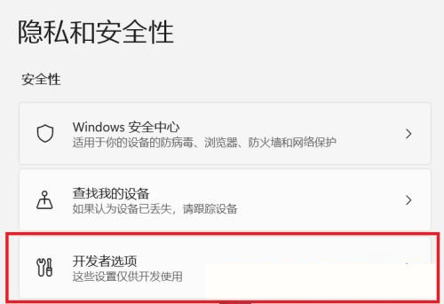 win11开发者模式怎么开 win11开启开发者选项插图2
