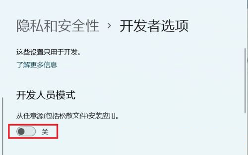 win11开发者模式怎么开 win11开启开发者选项插图3