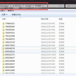 wallpaper engine文件保存在哪里 wallpaper文件储存位置