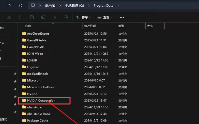 nvidia控制面板拒绝访问怎么办 nvidia控制面板拒绝访问无法应用选定的设置win10插图2